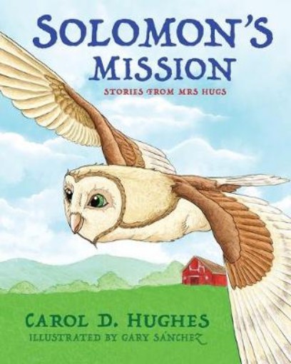 Picture of Solomon's Mission