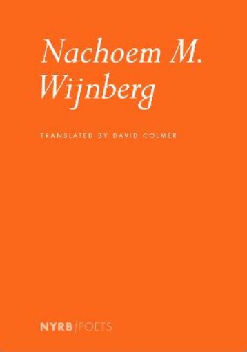 Picture of Nachoem M. Wijnberg