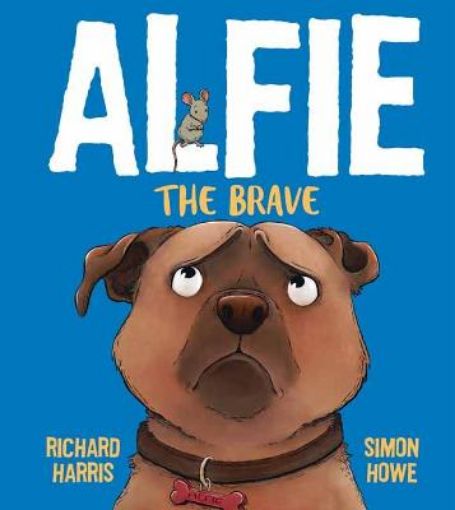 Picture of Alfie the Brave
