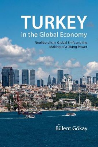 Picture of Turkey in the Global Economy