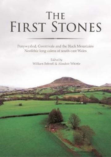 Picture of First Stones