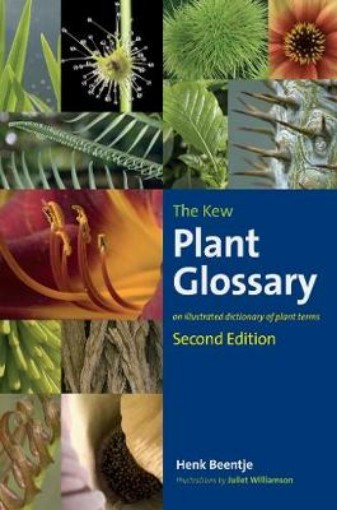 Picture of Kew Plant Glossary, The