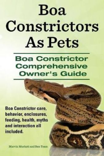 Picture of Boa Constrictors as Pets. Boa Constrictor Comprehensive Owner's Guide. Boa Constrictor Care, Behavior, Enclosures, Feeding, Health, Myths and Interact