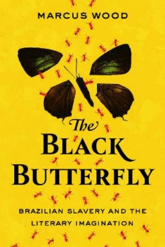 Picture of Black Butterfly