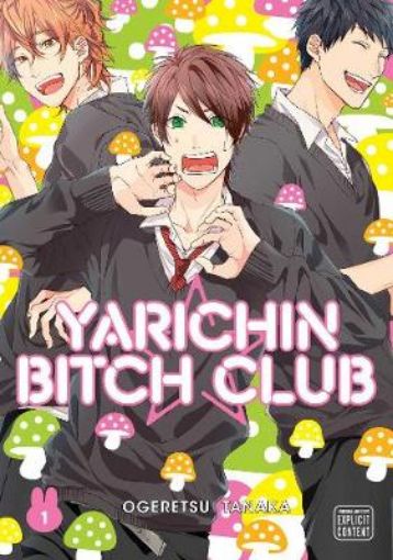 Picture of Yarichin Bitch Club, Vol. 1
