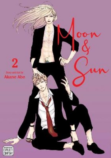 Picture of Moon & Sun, Vol. 2