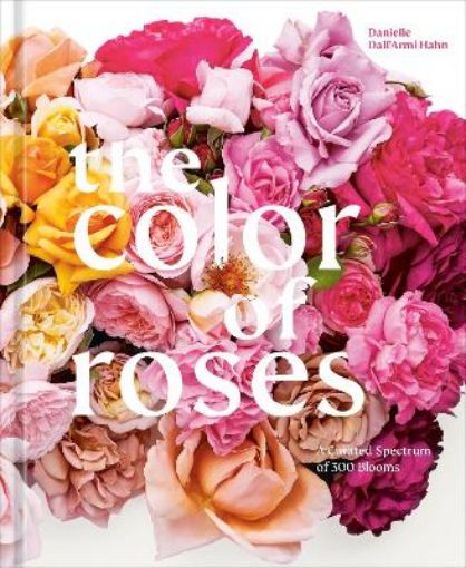 Picture of Color of Roses