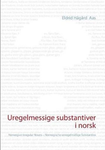 Picture of Uregelmessige substantiver i norsk