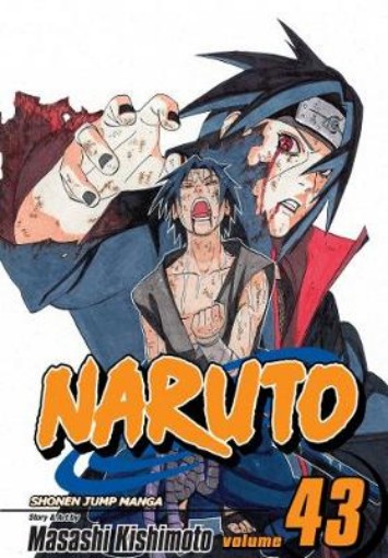 Picture of Naruto, Vol. 43