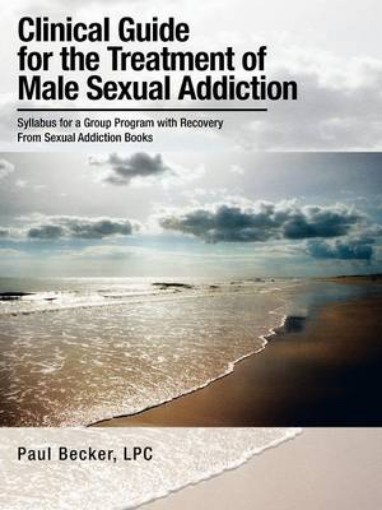 Picture of Clinical Guide for the Treatment of Male Sexual Addiction