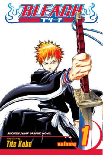 Picture of Bleach, Vol. 1