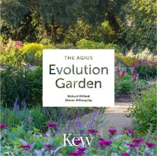 Picture of Agius Evolution Garden