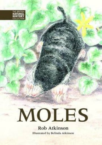 Picture of Moles