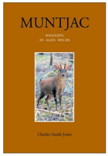 Picture of Muntjac
