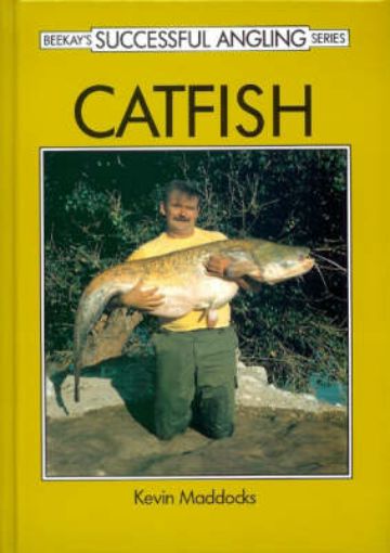Picture of Catfish