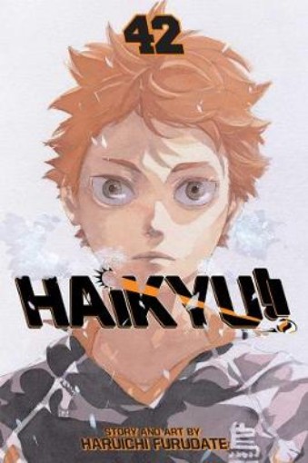 Picture of Haikyu!!, Vol. 42