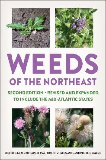 Picture of Weeds of the Northeast