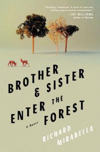 Picture of Brother & Sister Enter The Forest