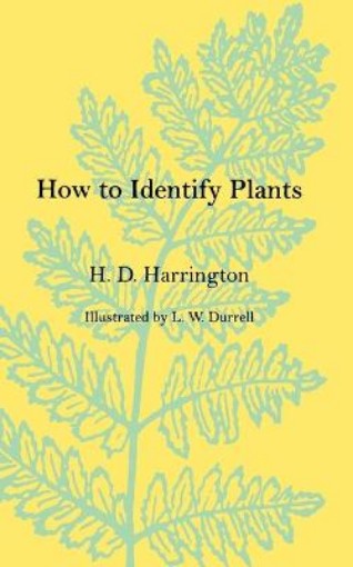 Picture of How To Identify Plants