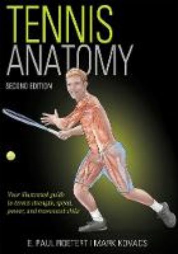 Picture of Tennis Anatomy