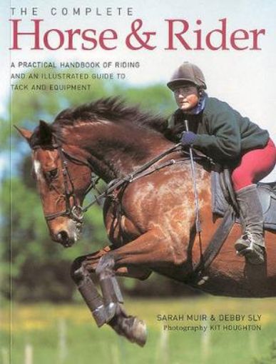 Picture of Complete Horse and Rider