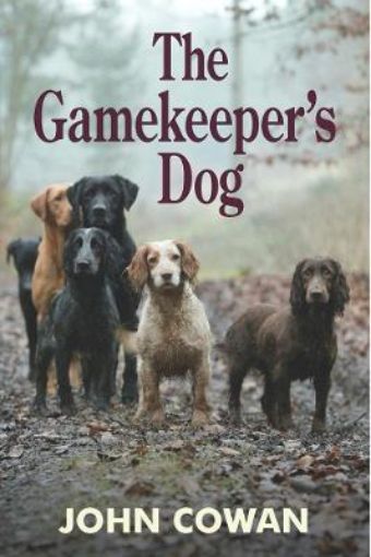 Picture of Gamekeeper's Dog