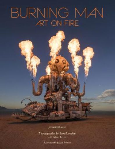Picture of Burning Man: Art on Fire