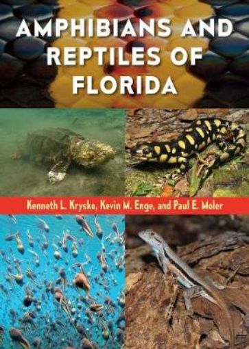 Picture of Amphibians and Reptiles of Florida