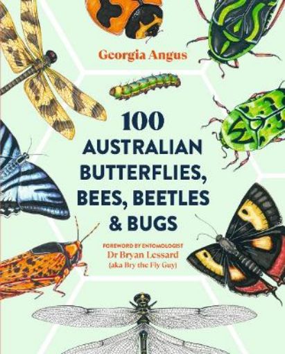 Picture of 100 Australian Butterflies, Bees, Beetles & Bugs