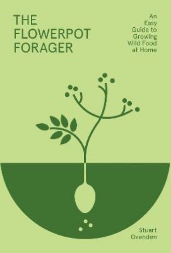 Picture of Flowerpot Forager