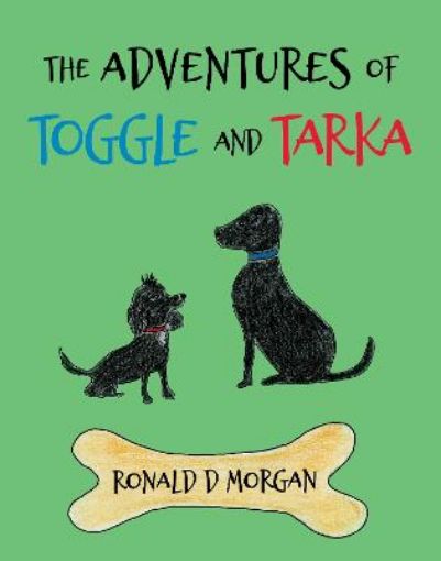 Picture of Adventures of Toggle and Tarka