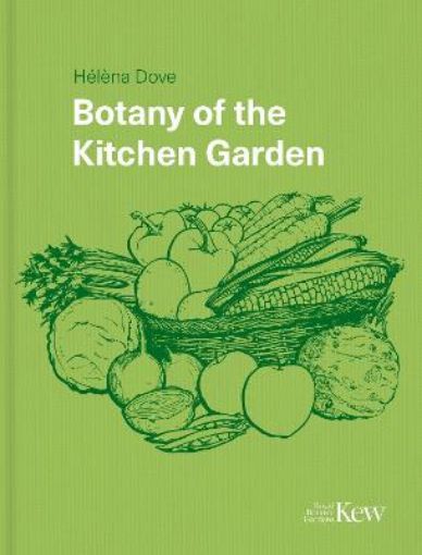 Picture of Botany of the Kitchen Garden