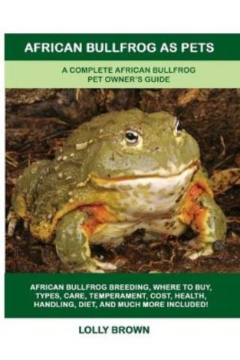 Picture of African Bullfrog as Pets