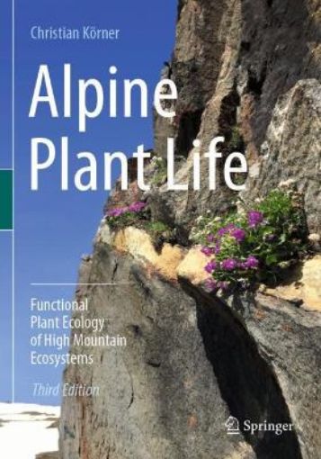 Picture of Alpine Plant Life