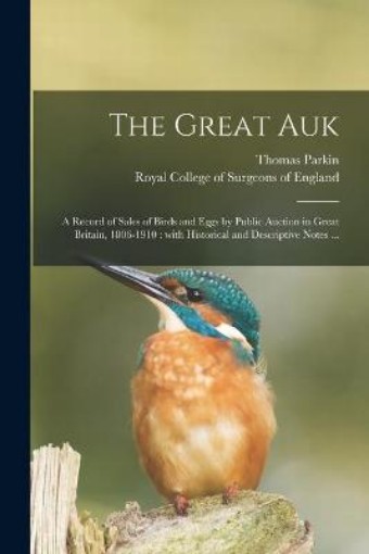 Picture of Great Auk