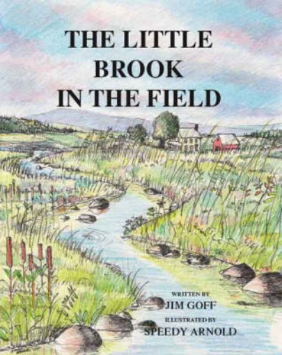 Picture of Little Brook in the Field