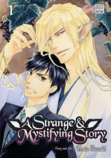 Picture of Strange & Mystifying Story, Vol. 1