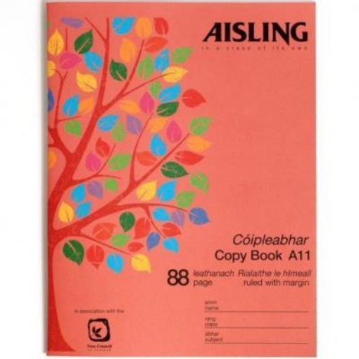 Picture of AISLING A11 88 PAGE COPY Single
