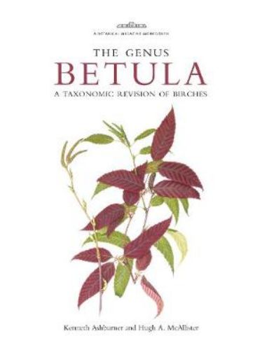 Picture of Botanical Magazine Monograph: The Genus Betula