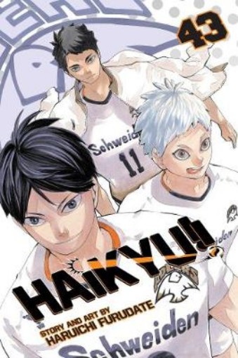 Picture of Haikyu!!, Vol. 43