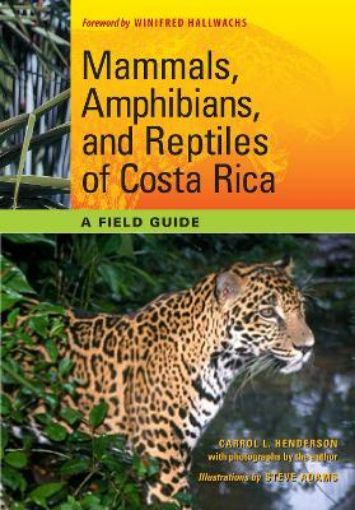 Picture of Mammals, Amphibians, and Reptiles of Costa Rica