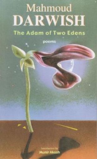 Picture of Adam of Two Edens