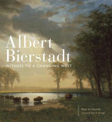 Picture of Albert Bierstadt