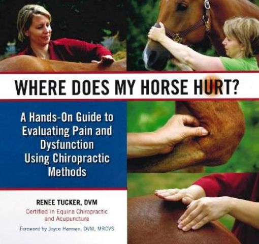 Picture of Where Does My Horse Hurt?