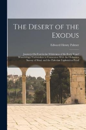 Picture of Desert of the Exodus