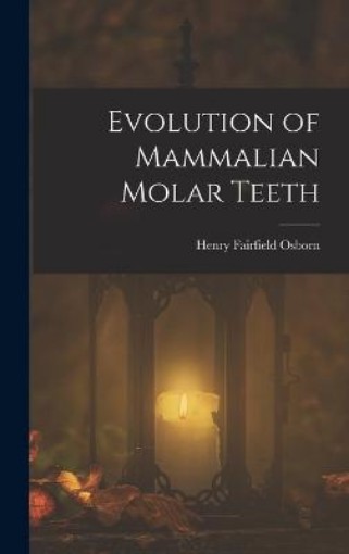 Picture of Evolution of Mammalian Molar Teeth