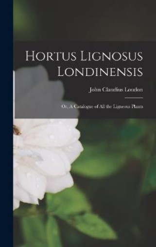 Picture of Hortus Lignosus Londinensis