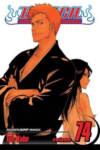 Picture of Bleach, Vol. 74