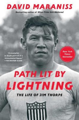 Picture of Path Lit by Lightning