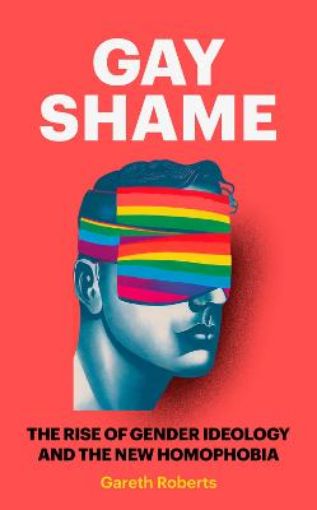 Picture of Gay Shame
